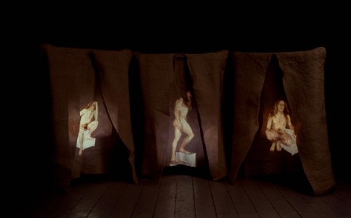 Fotograf: Erik Balle Poulsen
Værk  titel: Homo Sapiens I 
Værk  type: Installation 
Materiale: Filt + dias 
Størrelse: 30 x 130 x 350 cm 
Færdiggjort: 1997 