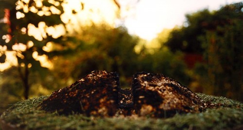 Fotograf: Henrik Westergaard Poulsen
Værk  titel: Forslag til offerplads 
Værk  type: Land art installation 
Materiale: Træ, ler, sten, sand, jord 
Størrelse: 250x1000 cm i diameter 