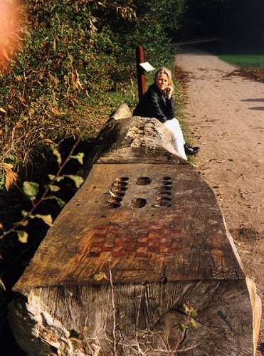 Fotograf: Henrik Westergaard Poulsen
Værk  titel: Bænk med spillebord 
Værk  type: Træskulptur 
Materiale: Bøgetræ 
Størrelse: 500x100 cm i diameter 
Færdiggjort: 1997 
Placering: Marienlystparken, Århus   &Oslash;vrigt: Solgt til Naturforvaltningen i Århus 