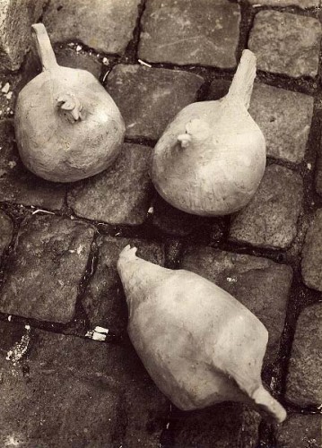 Fotograf: Erik  Filustrøm
Værk  titel: Høns 
Værk  type: Skulptur 
Materiale: Uglaseret rødler 
Størrelse: Højde ca. 15 cm - bredde ca. 15 cm 
Færdiggjort: 1988 