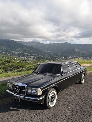 ESCAZU MANSION MOUNTAINS. MERCEDES W123 LIMO