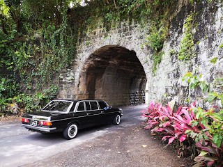 MERCEDES-300D-W123-LIMOUSINE-IN-Puentes-del-Ferrocarril-en-Parruas.-COSTA-RICA.jpg