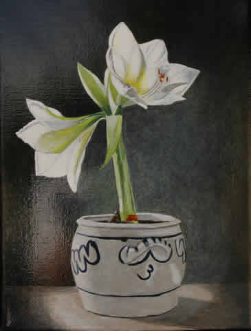 Kirstens Amaryllis </div>(40 x 40cm)</div></div>