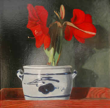 Kirstens Amaryllis</div>(40 x 30 cm)</div>